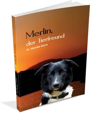 Merlin l'amoureux des animaux 1