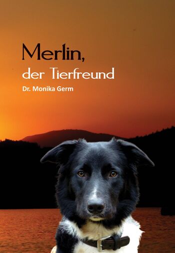 Merlin l'amoureux des animaux 2