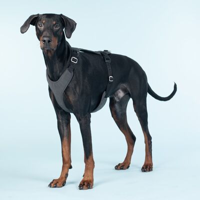 Visibility Harness Dark - XL