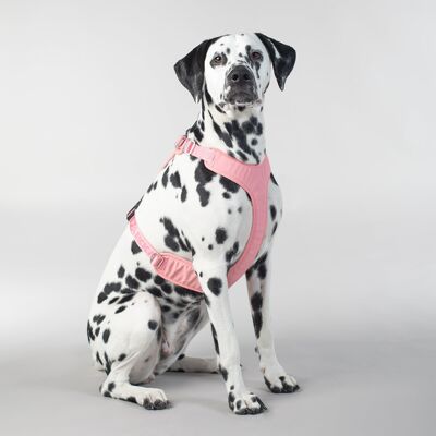 Visibility Harness Pink - XS