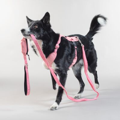 Visibility Leash Pink - 15mm x 180cm