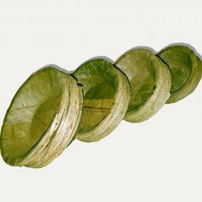 LEAF Bowl Multi Pack – Pack of 20