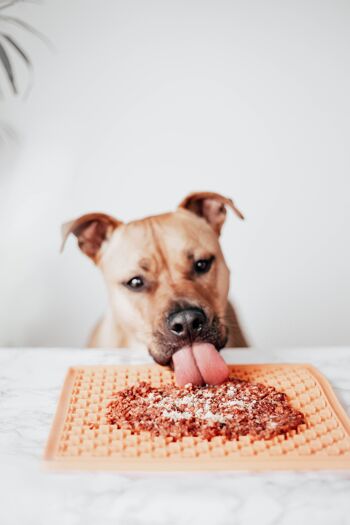 Topper Aguja de veau - Supplément naturel pour chiens 7