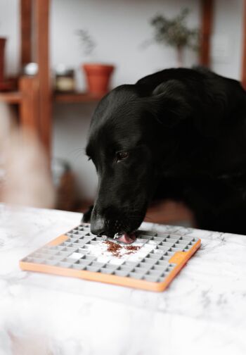 Topper Aguja de veau - Supplément naturel pour chiens 9