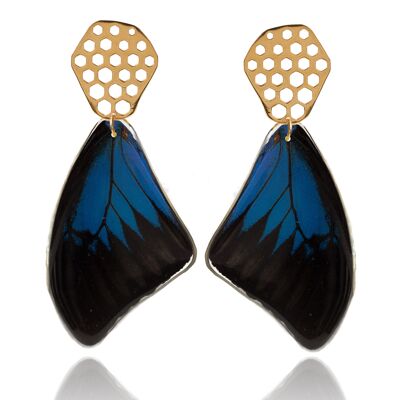 Pendientes Mariposa Cueva