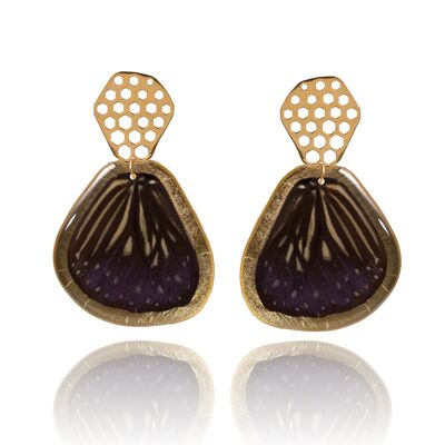 Pendientes Mariposa Concha