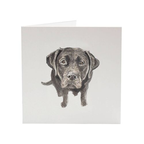 Black Lab Irving - Top Dog greeting card