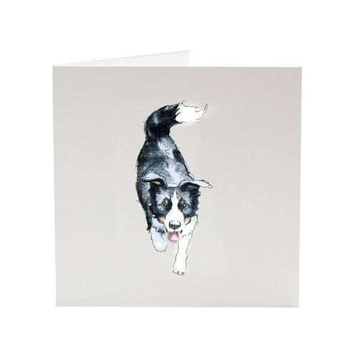 Border Collie Nell - Top Dog greeting card