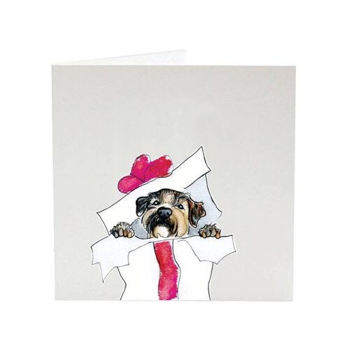 Border Terrier Dylan - Top Dog Christmas card