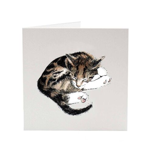 Brunel - Top Cat greeting card
