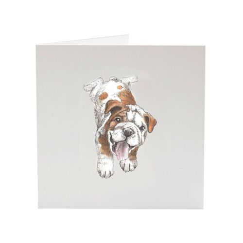 Bulldog Myrtle - Top Dog greeting card