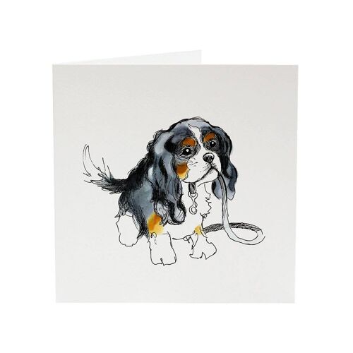 Cavalier King Charles Spaniel - Top Dog greeting card