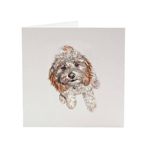 Cavapoo Murphy - Top Dog greeting card