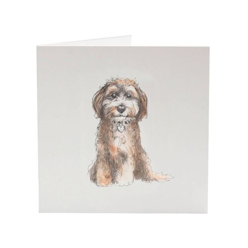 Cockapoo Benny - Top Dog greeting card