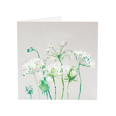 Cow Parsley - My Favourite Flower greeting card