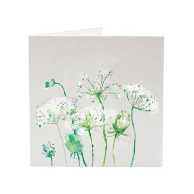 Persil de vache - Ma carte de voeux fleur préférée