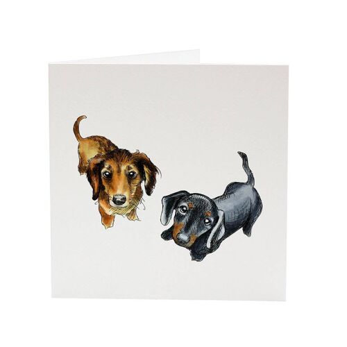 Dachshunds Sheldon & Amy - Top Dog greeting card