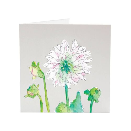 Dahlias - My Favourite Flower greeting card