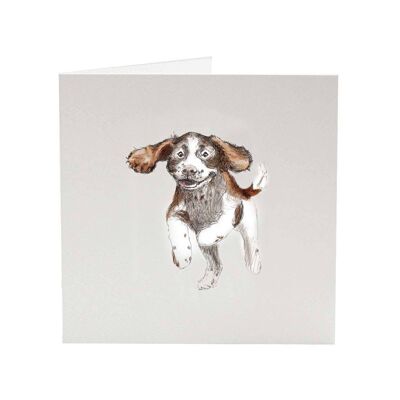 English Springer Spaniel Zavier - Top Dog greeting card