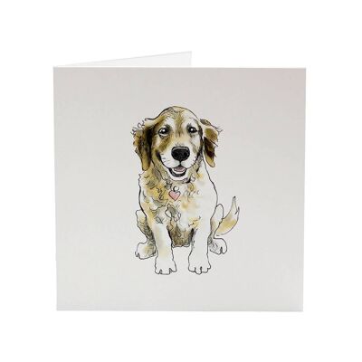 Golden Retriever Shenley - Top Dog greeting card