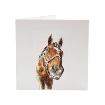 Happy Grazing - Horse greeting card