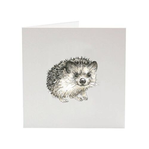 Ino the Hedgehog - Critter greeting card