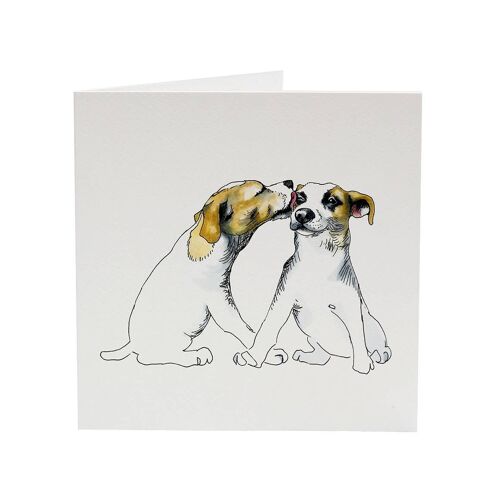 Jack Russell Terriers - Top Dog greeting card