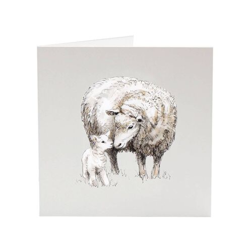 Lily the Lamb - All Creatures greeting card