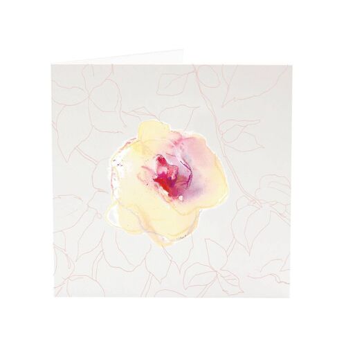 Peach Rose - greeting card