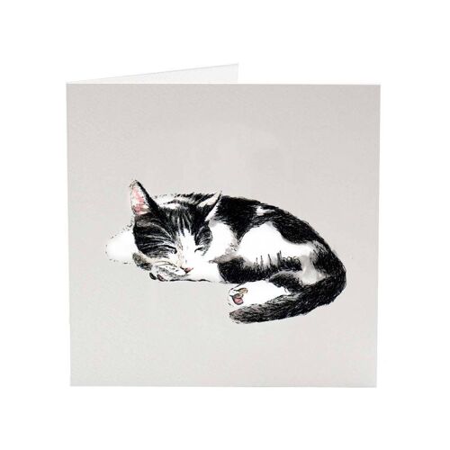 Quince - Top Cat greeting card