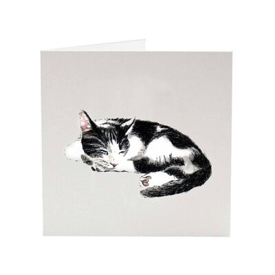 Coing - Carte de voeux Top Cat