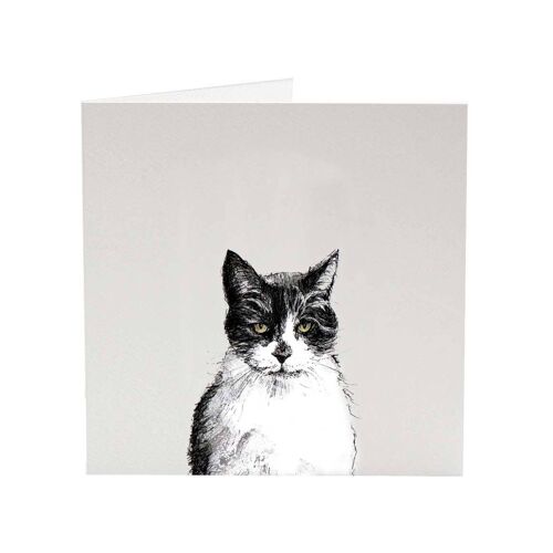 Smudge - Top Cat greeting card