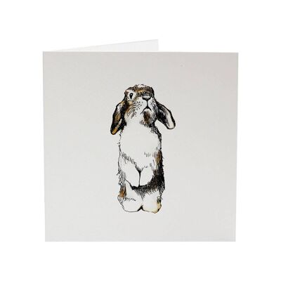 Timmy the Bunny - Tarjeta de felicitación Critter