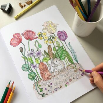Le jardin de Veronica - Livre de coloriage 3