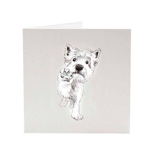 Westie Terrier Piper - Top Dog greeting card