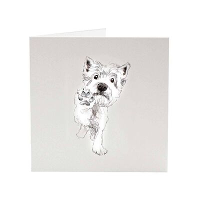 Westie Terrier Piper - Platzhirschgrußkarte