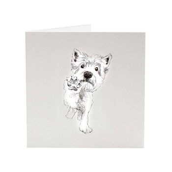 Westie Terrier Piper - Carte de vœux Top Dog