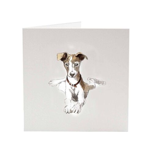 Whippet Paula - Top Dog greeting card