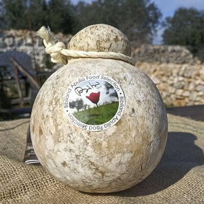 Caciocavallo in der Höhle gereift 1,5 Kg.