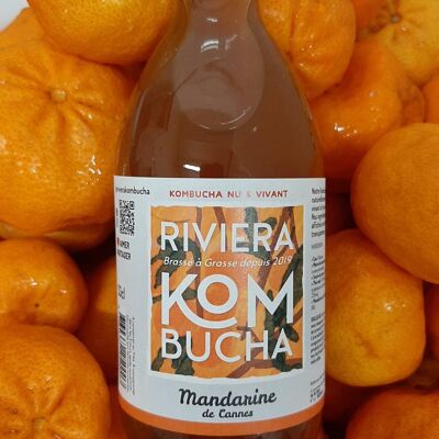 Premium Kombucha - Mandarine aus Cannes