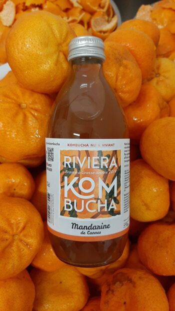 Premium Kombucha - Mandarine de Cannes