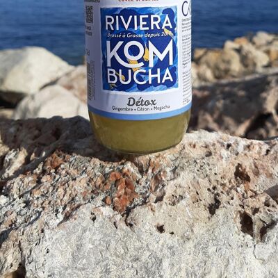 Premium Kombucha - Detox - Matcha orgánico de jengibre y limón*