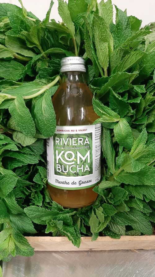 Premium Kombucha - Grasse Mint