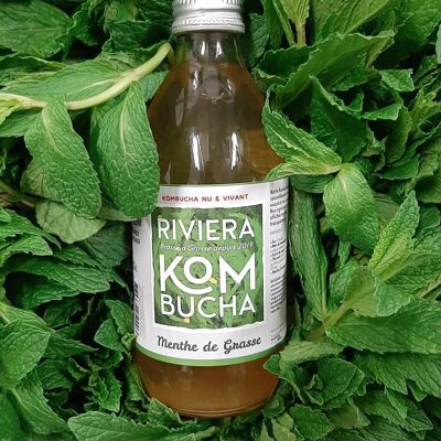 Kombucha Premium - Menta de Grasse