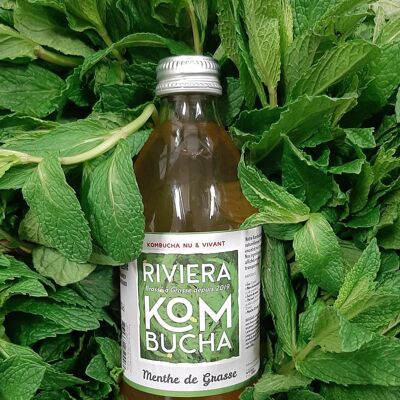 Premium Kombucha - Grasse Mint