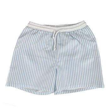 Blue Stripes Swim shorts 2