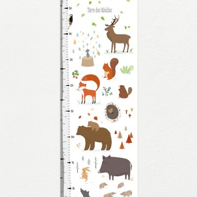 Measuring stick animals of the forest