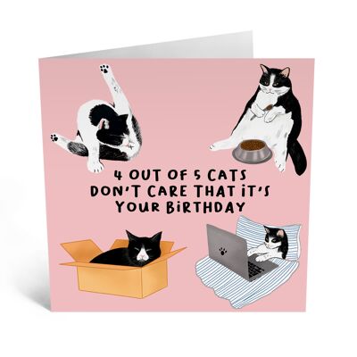 Central 23 - 4 de 5 gatos - Tarjeta de cumpleaños divertida