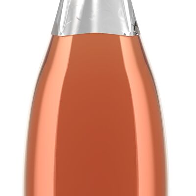 Leonardo Pinot Rose sparkling wine dry 2019