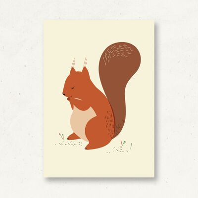 Postkarte Waldtiere Eichhörnchen
